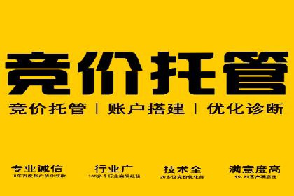 案例解析：SEM托管代运营助力企业实现盈利